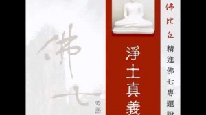 淨土真義 第六集 (粵語翻譯)